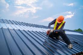 Best Steel Roofing  in Rainbow Springs, FL